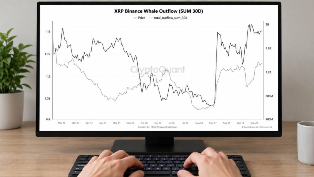 XRP Whale Transfers off Binance Reach Highest Level in 7 Months
