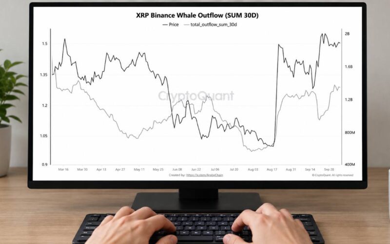 XRP Whale Transfers off Binance Reach Highest Level in 7 Months